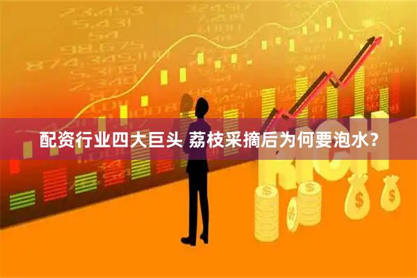 配资行业四大巨头 荔枝采摘后为何要泡水？